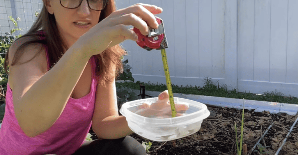 growing perfect radishes